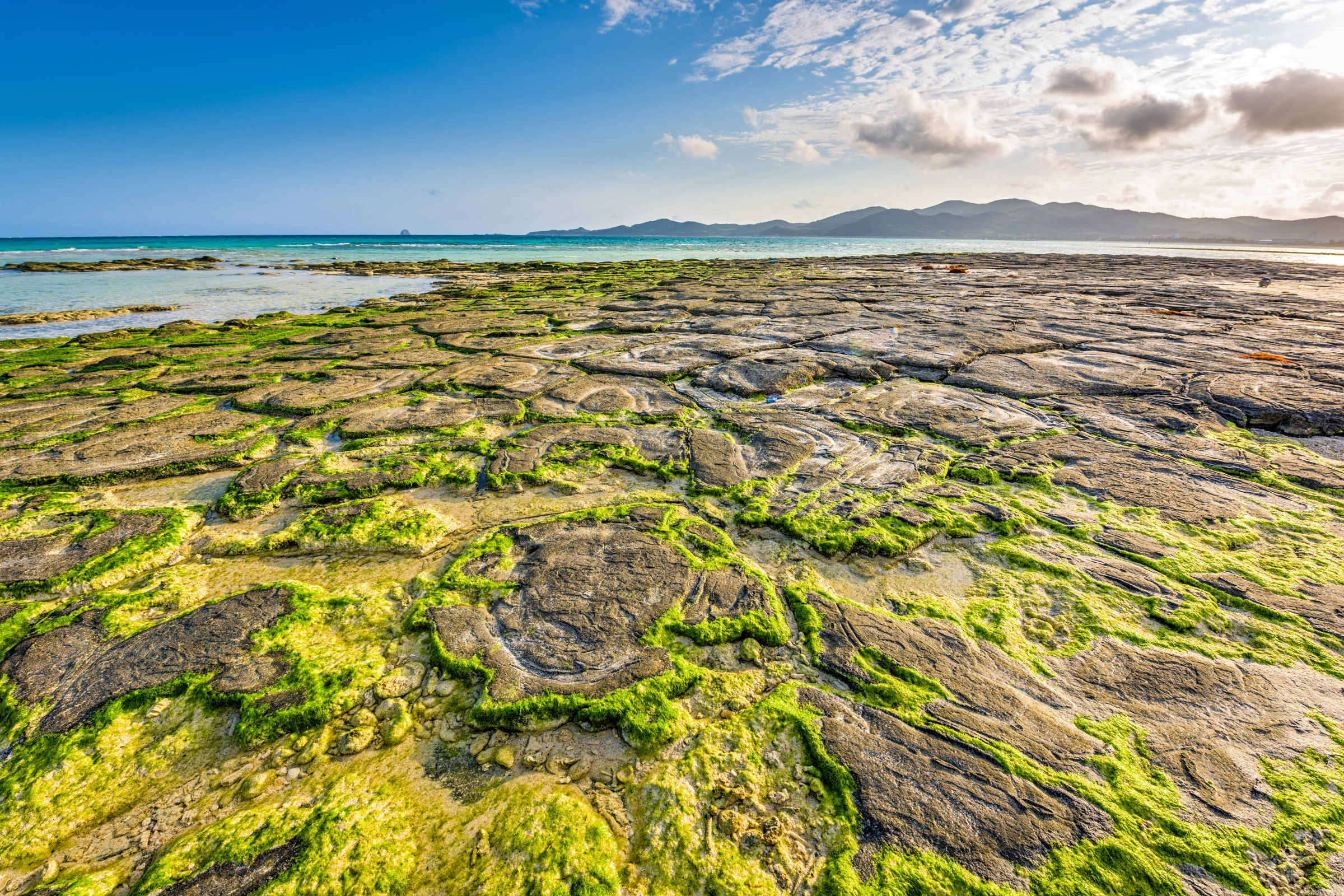 Kumejima[1].webp